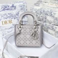 Christian Dior Top Handle Bags